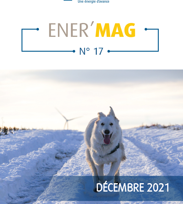 ENERMAG-17-604x675.png