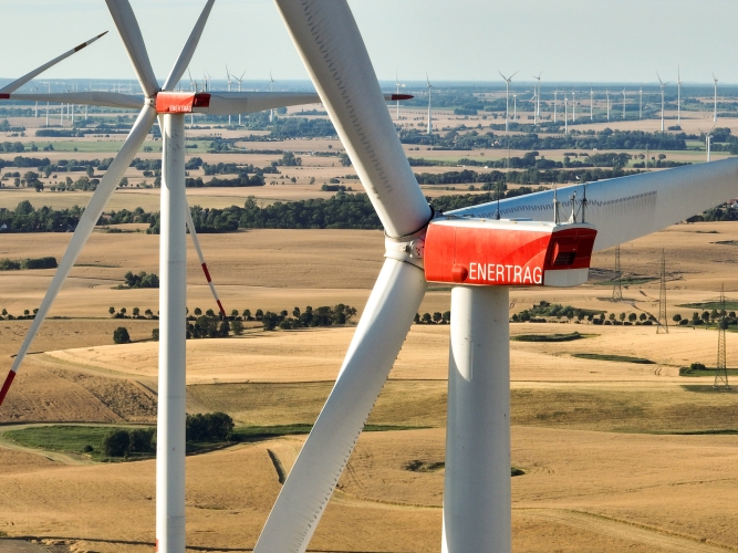 Windfeld_Mattheshöhe_17.jpg
