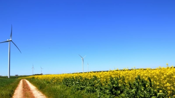 Parc éolien de Pliboux en France